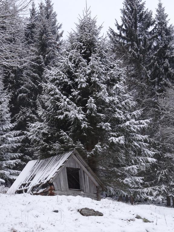 Rojerhof Villa Schladming Dış mekan fotoğraf